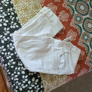 AE Artist Crop Capri